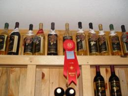 Holly Ridge Winery and Vineyard
