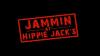 Jammin' at Hippie Jack's Americana Music Festival